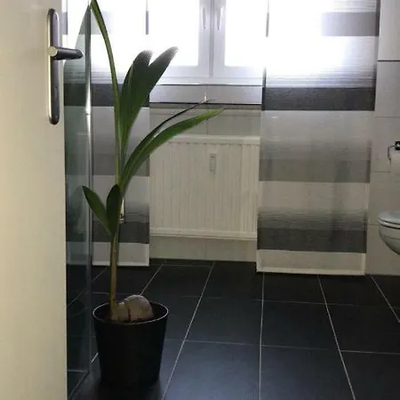 Apartment Auris Gäste -